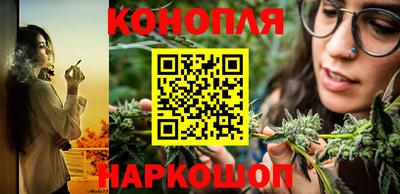 крисы Ставрополь