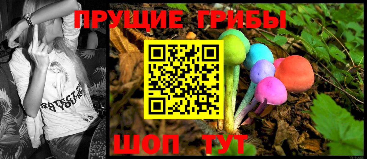 Псилоцибиновые грибы Psilocybine cubensis Клинцы